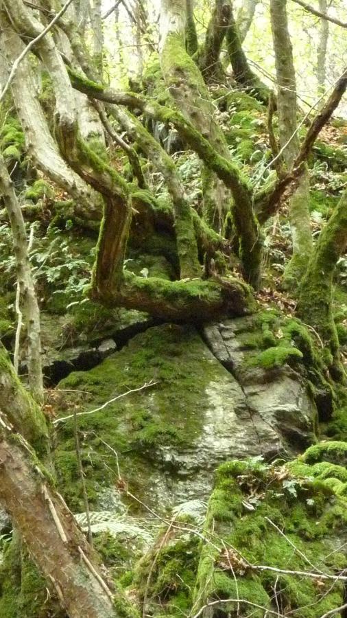 Landhaus Graefendhron Grafendhron Dış mekan fotoğraf